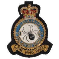 58 Squadron RAF wire blazer badge